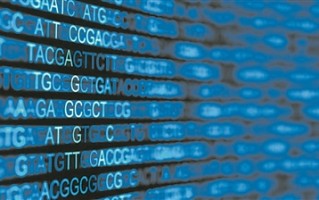 “深度思维”推出“阿尔法基因组”——人工智能揭秘DNA中的“暗物质”