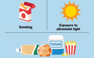 梅奥诊所专家评论:胶原蛋白能有效对抗皱纹和衰老吗？