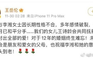 王岳伦宣布与李湘离婚后又删除是怎么回事？王岳伦个人资料背景介绍