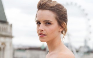 准确地理解哥德尔不完全性定理“关于PM及相关系统的形式不可判定命题”(3) - 意义 精选