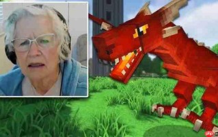 81岁奶奶直播《我的世界》为孙子治疗癌症