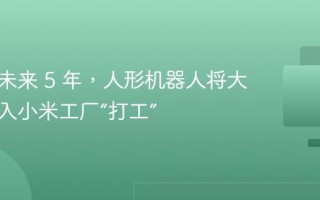 雷军：未来 5 年，人形机器人将大面积进入小米工厂“打工”
