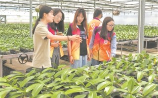 江苏理工学院实践团深入乡村开展调研