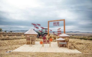 一碗米饭的“颗粒度”：椒爱用黑土地的温度与供应链的精度，只为让您吃得放心