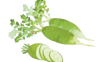 为什么“冬吃萝卜夏吃姜”