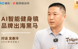 了不起的行业丨紫鸟对话AEKE联合创始人：龙春泠,