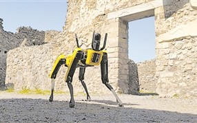 世界经济论坛官网报道——智能机器人的八大应用场景