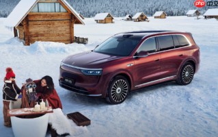 1-11月30万元以上插电混动车型销量榜：问界双车前二