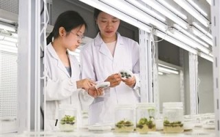 新农科建设，项目实践走向乡村大地