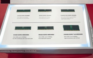 一条就256GB！SK海力士展示内存天花板！