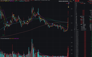 连续4个涨停板 “跨界失意者”南兴股份的魔幻逆转与冰冷现实丨大A避雷针