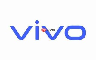 手机还是平板？vivo 13000mAh超大容量电池通过认证