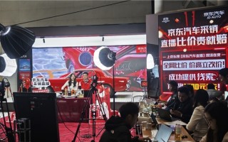 京东11.11采销直播放终极大招：比价成功送“国民好车”