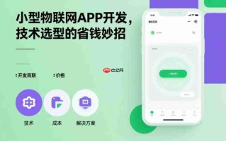 小型物联网APP开发,技术选型的省钱妙招!