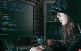 黑客"女皇"发布告别宣言 怒斥盗版玩家忘恩负义！