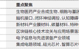 上海再添6家高质量孵化器，瞄准“硬科技+未来产业”