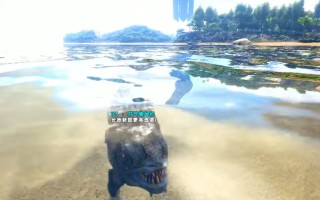 水域生存指南：应对食人鱼的全面攻略