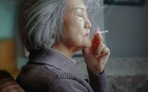 新片上映预告
