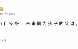 陈晓与陈妍希宣布离婚 日后共同陪伴孩子成长