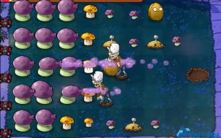 植物大战僵尸95版通关秘籍：阳光管理与战术布局全攻略