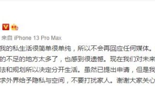 王力宏离婚原因 王力宏与老婆结婚几年了有孩子吗