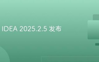 IntelliJ IDEA 2025.2.5 发布