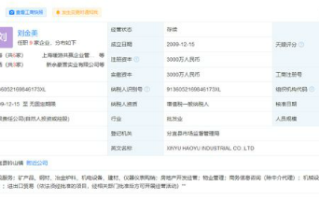 虞书欣父母公司被执行标的222万余元 曾自称间接受害人
