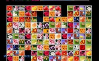 操作方便绿色花花连连看原版打开网页便能迅速开玩