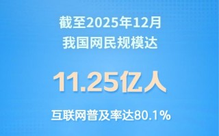 我国网民规模达11.25亿人