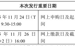 “中国版英伟达”摩尔线程将于 11 月 24 日上市，发行价格 114.28 元/股