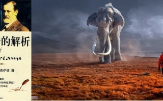 我们不知道答案的125个科学问题(85)梦的作用 精选