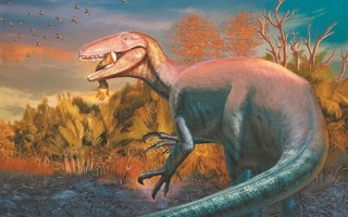 科学家新发现南美捕食性恐龙物种