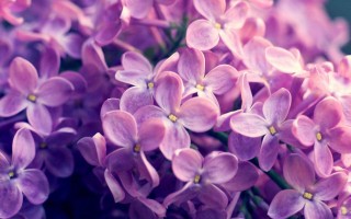 乘风破浪的姐姐2名单嘉宾剪影照曝光 十个标签猜猜是谁