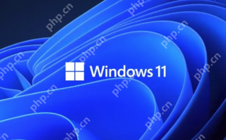 Win11第三方工具Flyoobe遭黑客篡改：伪造官网植入木马