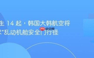 2 年发生 14 起，韩国大韩航空将“零容忍”乱动机舱安全门行径