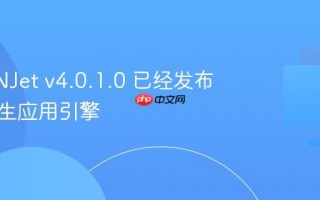 OpenNJet v4.0.1.0 已经发布，云原生应用引擎