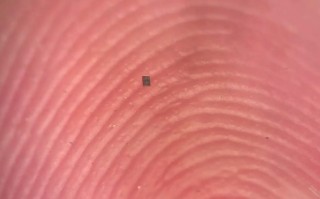 研究人员打造全球最小的可编程自主机器人