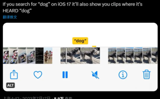 苹果iOS17隐藏细节：可通过关键字搜索iPhone视频内声音