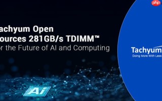Tachyum发布新型TDIMM内存技术 单条带宽达281 GB/s