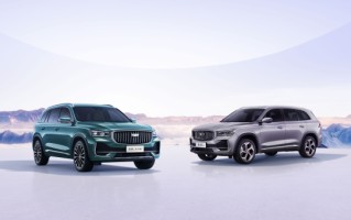 2025上半年燃油车销量TOP20出炉：国产最高排第五