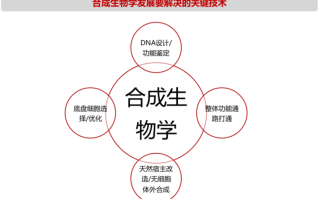合成生物大风起：2024规模破千亿、细分赛道复合增速近64%丨黄金眼