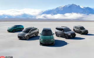 今年11月中国乘用车批发销量达299.2万辆 同比增长2%