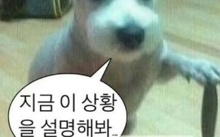 韩素希回应与柳俊烈恋情传闻：不喜欢有对象的人