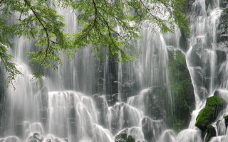 赵雅芝丈夫直言在娱乐圈见过众多美女：已经麻木