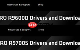 AMD RDNA 4显卡还有新品！Radeon AI PRO R9700S、R9600D已现身