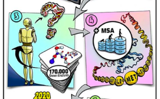 2024 年诺贝尔化学奖得主在 Frontiers for Young Minds 上的发文 精选