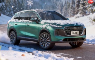 俄罗斯车市最新情况：自主品牌占六成 理想岚图表现突出