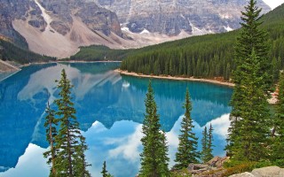 高圆圆投资鲜花电商成被执行人 执行标的超828万