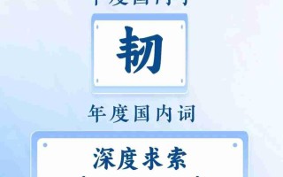 2025 年度国内词：“深度求索（DeepSeek）”