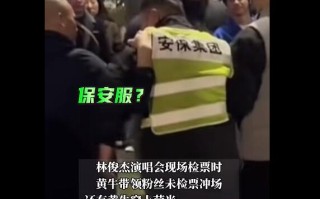 林俊杰演唱会黄牛带领粉丝冲场 警方回应
